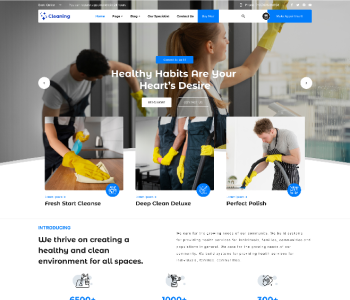 Cleaning Company WordPress Theme